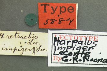 Media type: image;   Entomology 5884 Aspect: labels